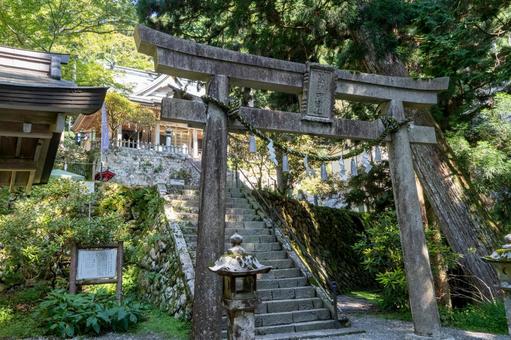 奈良　玉置神社　本殿と鳥居 玉置神社,本社,社殿の写真素材