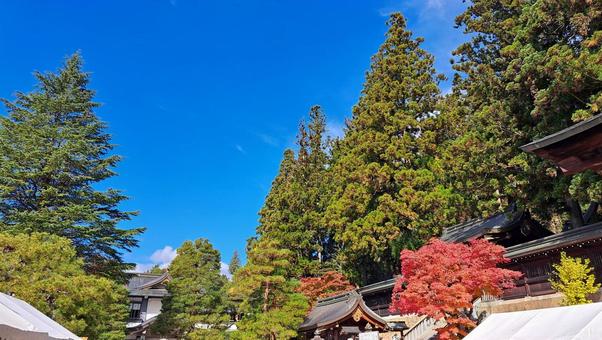 飛騨高山　櫻山八幡宮から見る空と紅葉 櫻山八幡宮,飛騨高山,岐阜県の写真素材