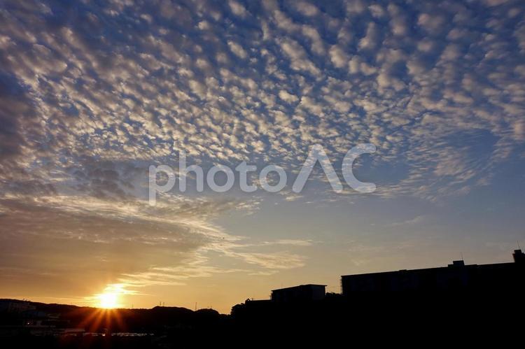 住宅街の夜明け～夏～290 朝日,日の出,早朝の写真素材