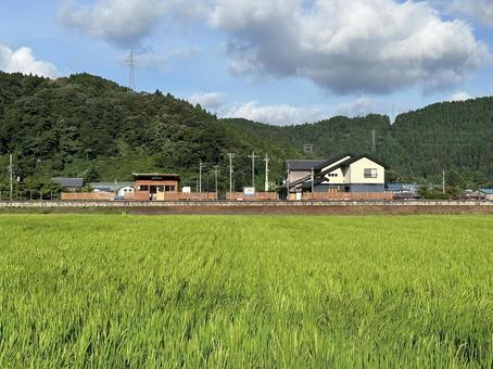 一乗谷駅全景 一乗谷駅全景 一乗谷駅,自然,晴れの写真素材
