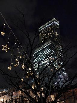 あべのハルカス(夜) あべのハルカス(夜)の写真