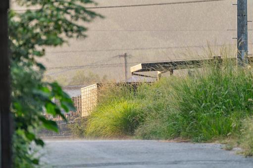 夕立ち 夕立ちの写真