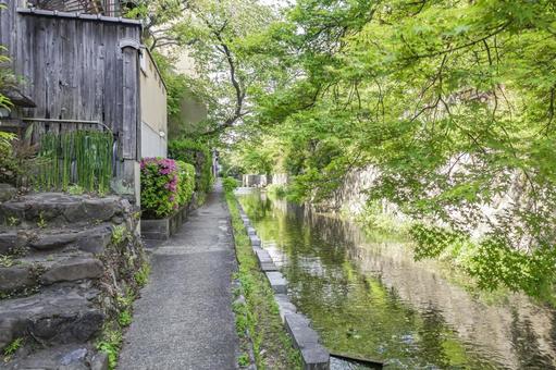 京都高瀬川の風景 京都高瀬川の風景 高瀬川,京都,風景の写真素材