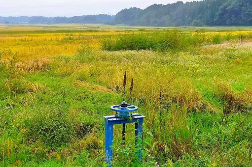 2025年9月の里山49 用水路,水門,ハンドルの写真素材