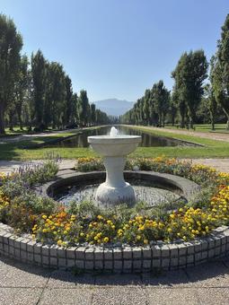 噴水と並木 噴水と並木 風景,自然,空の写真素材