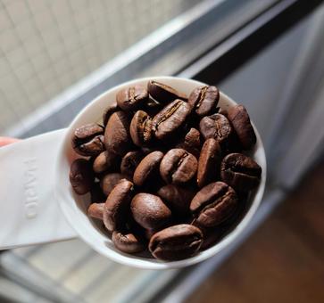 スプーンに入った焙煎されたコーヒー豆 スプーンに入った焙煎されたコーヒー豆 コーヒー豆,コーヒー,スペシャルティコーヒーの写真素材