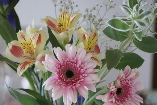 ガーベラとアルストロメリアの花束 ガーベラとアルストロメリアの花束 花,花束,ガーベラの写真素材