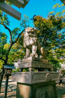 【兵庫】湊川神社 兵庫,神戸,湊川神社の写真素材