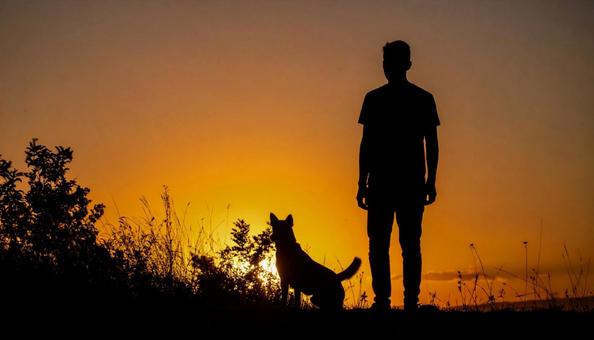 青年と犬 青年と犬の写真
