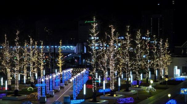 海浜幕張駅・駅付近のクリスマス（千葉市） クリスマス,イルミネーション,冬の写真素材