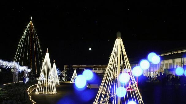 はままつフラワーパーク　イルミネーション イルミネーション,夜景,クリスマスの写真素材
