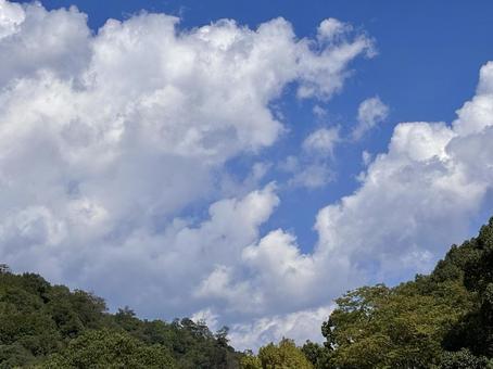 【空の写真】秋空 【空の写真】秋空 秋空,空,雲の写真素材