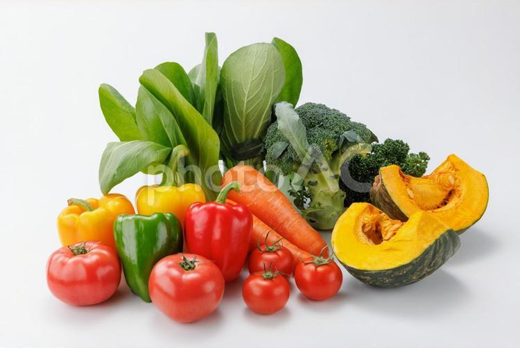 たくさんの野菜 野菜,生野菜,食材の写真素材