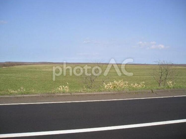 5月のR44　根室路 5月,カントリーロード,スプリングの写真素材