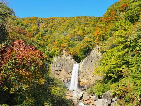 秋の景色１０ 苗名滝,紅葉,新潟県の写真素材