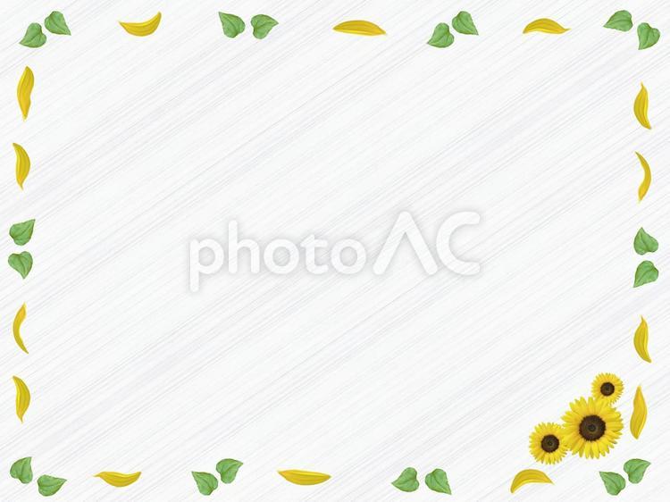 夏の花ヒマワリのかわいいフレーム枠素材 向日葵,ヒマワリ,枠の写真素材