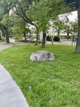 公園の緑豊かな芝生と大きな石 公園の緑豊かな芝生と大きな石 公園,芝生,緑の写真素材