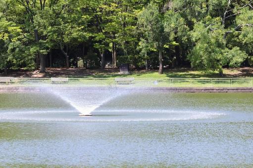 夏の暑い日の噴水(長居植物園)人物なし2 夏の暑い日の噴水(長居植物園)人物なし2 夏,噴水,暑いの写真素材