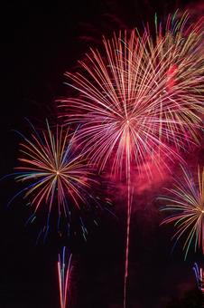 夜空に咲くカラフルな花火 花火,花火大会,夏の写真素材