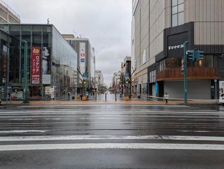 濡れた横断歩道と旭川買い物公園通り 濡れた,横断歩道,旭川買い物公園通りの写真素材