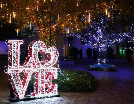 LOVEのイルミ②（引き） イルミネーション,love,電飾の写真素材