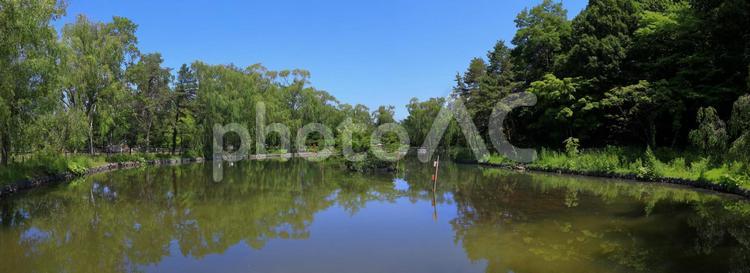 月寒公園の池(パノラマ写真) 月寒公園,公園,北海道の写真素材