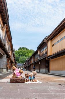 Higashi Chaya District and Toy Poodle, JPG Higashi Chaya District and Toy Poodle, JPG