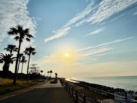 朝の海岸 朝の海岸の写真