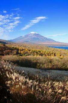 富士山と紅葉 富士山と紅葉の写真
