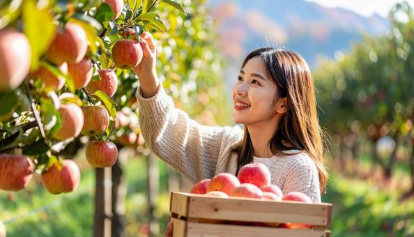 秋の味覚狩りをする女性 秋の味覚狩りをする女性の写真