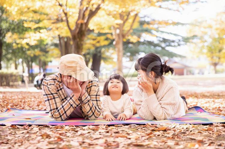 秋の公園でピクニックする家族・ファミリー 家族,ピクニック,行楽の写真素材