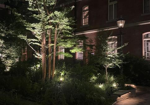 庭木　ライトアップ　街灯 庭,庭木,ライトアップの写真素材