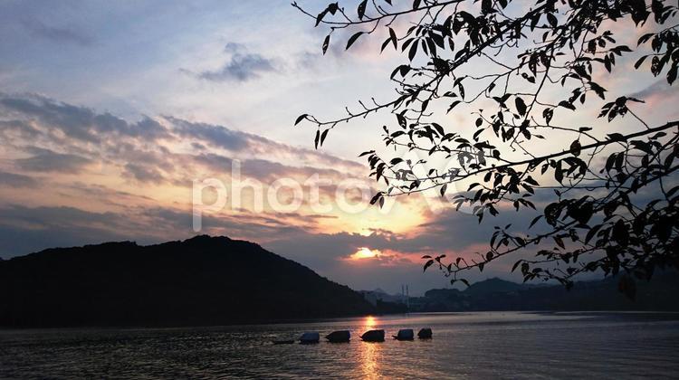 夕暮れの湖 夕日,綺麗,湖の写真素材