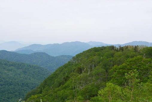 白山観光新道の景色 白山観光新道の景色の写真
