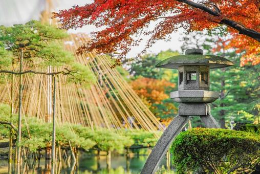 金沢 兼六園のことじ灯籠 紅葉と雪吊り 金沢 兼六園のことじ灯籠 紅葉と雪吊り 兼六園,金沢,石川の写真素材