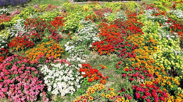 公園 公園の写真