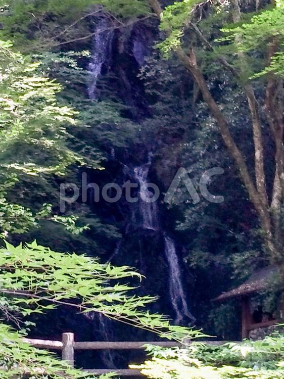 ちょうおんのたき 水域,木材,自然の写真素材