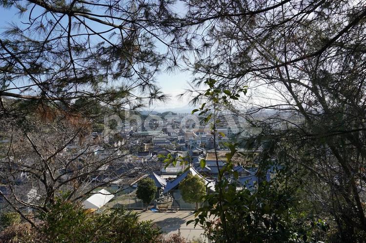木々の間から見える愛媛県松山市 松山市,街,枝の写真素材