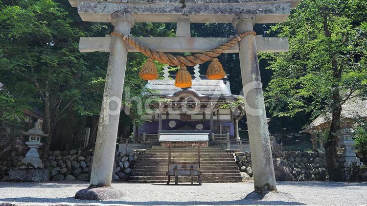 白川八幡神社 白川八幡神社,白川郷,神社の写真素材