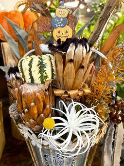 ハロウィン ハロウィンの写真