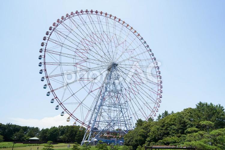 観覧車　葛西臨海公園 観覧車,ゴンドラ,大観覧車の写真素材