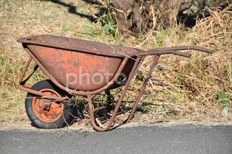 冬至の日の藤沢市今田の一輪車 猫車,作業器具,手押し車の写真素材