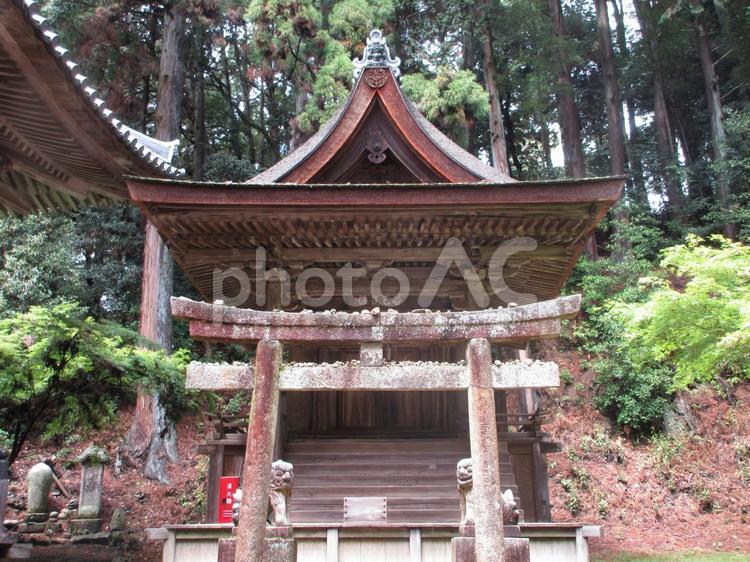 兵庫県-圓教寺-奥之院-護法堂-若天社 圓教寺,寺,書寫山の写真素材