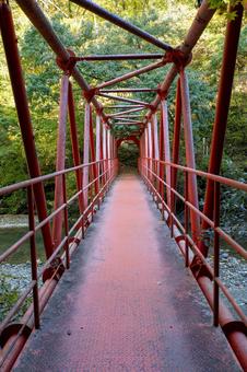 秋の関山大滝⑻の写真
