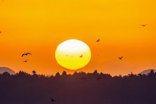 伊豆沼の朝(598) 伊豆沼,朝,夜明けの写真素材