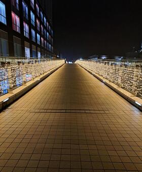 金色の道 夜景,イルミネーション,ライトの写真素材
