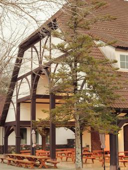 ドイツの森 ベンチ,集会,欧米の写真素材