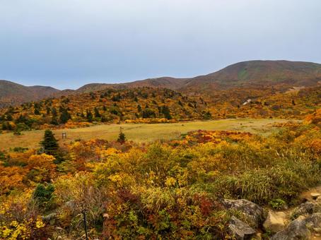 紅葉の栗駒山(須川岳) 紅葉の栗駒山(須川岳) 栗駒山,須川岳,神の絨毯の写真素材