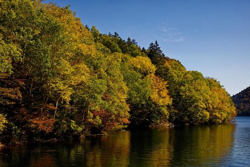 然別湖の紅葉 然別湖,秋,紅葉の写真素材