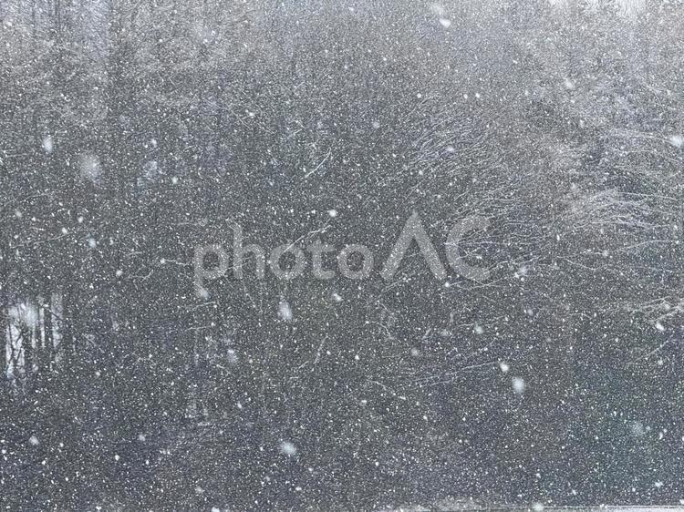 信州の春の雪景色(4月1日の雪) 雪景色,信州,春の写真素材